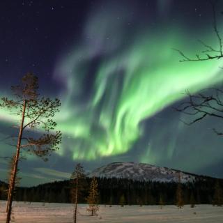 Lodge 67°N Lapland - 6