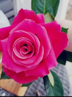 Lovers Corner - 8