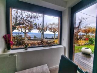 Appartement Cozy 1 Panoramique Lac Léman Thonon-Les-Bains - Thonon-les-Bains - 6