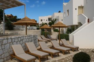 New Palm Hive - Cherso - 1