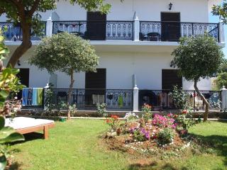 Panorama - 8