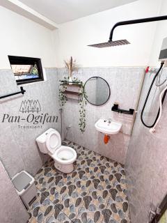 Pan-Ogifan Transient - 7