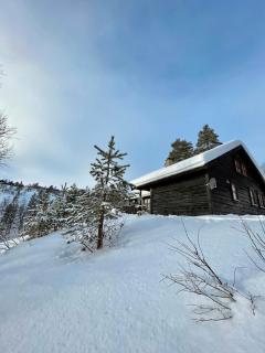 Modern Cabin With Views In Sirdal - 5