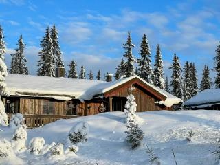 Newly Renovated Cabin By Sjusjoen Ski Slopes - 5