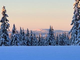 Newly Renovated Cabin By Sjusjoen Ski Slopes - 4