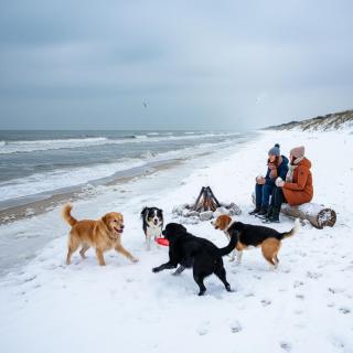 Beach Stay 1 Min Walk - 1