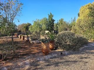 Villa Riad Ahlam - 9