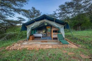 Private bush camp with pool cottages tents - 2332 - 2