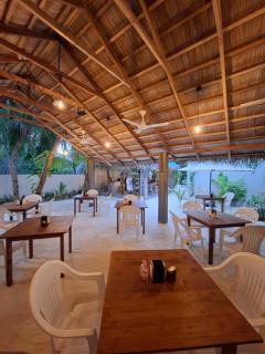 The Palm Ray Rasdhoo - 8