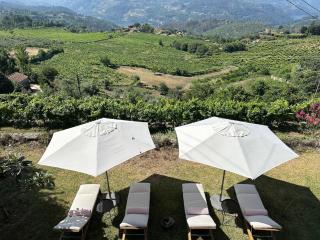 Casa Belo Horizonte - Luxury in the Douro Valley - 8