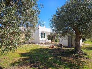 Il Trullino di Vallegna - 5