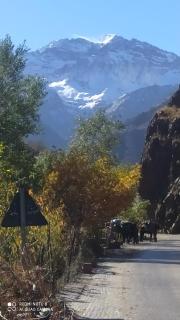 Adrar view lodge - 2