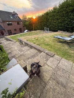 The Chase, Luxury Hot Tub Retreat, Pets Welcomed - 1