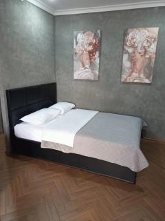 Квартира в центре города - 7