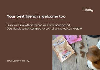 Apartamentos Líbere Granada Catedral - 2