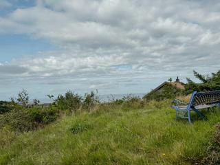 Coastal Cabin With Panoramic Views In Lista - 8