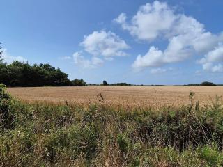 6 person holiday home in Skærbæk-By Traum - 9