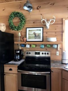 Pristine and Cozy Cabin Rental Overlooking Pond near Rochester, New York - 6