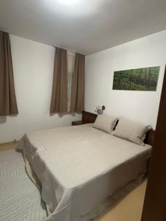 Bansko Ski To Door Apartment 3 - 3