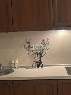 Bansko Ski To Door Apartment 3 - 1