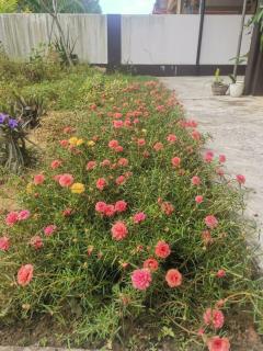 Gambir Semi-D Homestay - 5