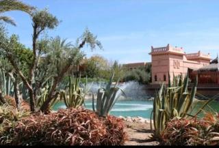 Palmeraie village 2 , les jardins de la palmeraie 2 - 9