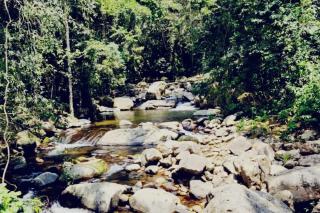 casa na natureza com cachoeira e piscina ! - 5