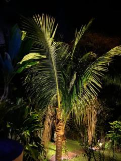 casa na natureza com cachoeira e piscina ! - 4