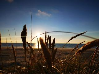 Luxury Beachfront Retreat - By Traum Ferienwohnungen - 9