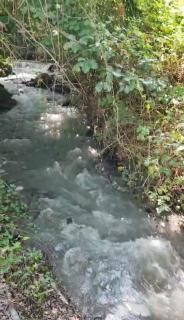 Events Park Qebele - 7