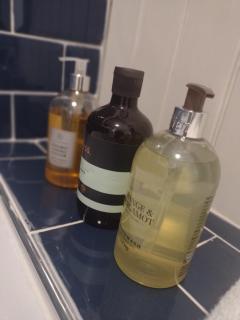 2 Courtyard Mews - 1