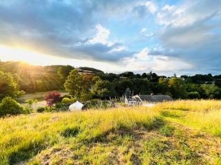 Hilly Haven & Luxury Wagon in the Forest of Dean - 7