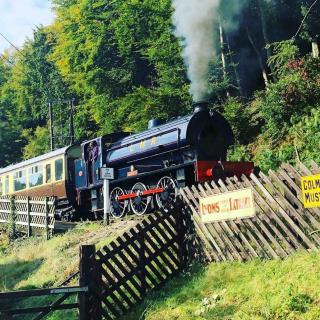 Hilly Haven & Luxury Wagon in the Forest of Dean - 3
