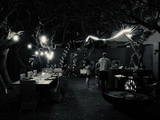 Nestled Between Milkwood - Franskraal Retreat - 1