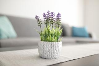 Cracow Modern Apartment FREE Parking, Views, Tram - 2