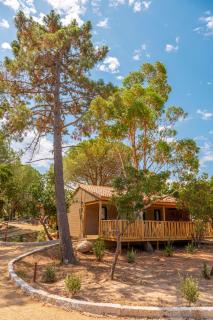 Camping California - 2