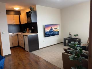 Comfortable and affordable big studio - 4