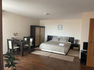 Comfortable and affordable big studio - 6