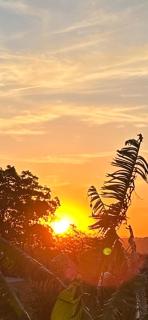 Carcará Vacation Homes - 6