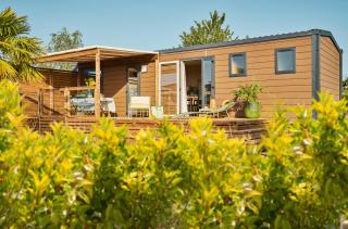 Camping California - 3