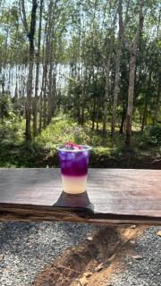 Khao Sok Hill Top Resort - 7