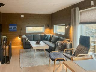 Modern Family Cabin At Sjusjøen - 1