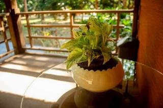 Baan Boon Homestay - 0