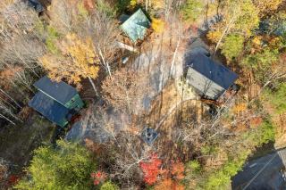 Green & Black Bear Cabins By Beyond Expectations - 8