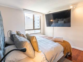 HOM I Lastarria Wifi Piscina Metro Univ Catolica - 6