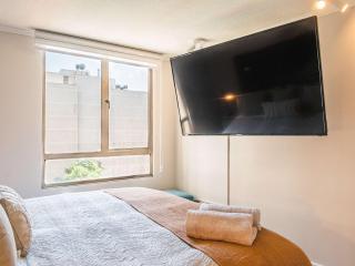 HOM I Lastarria Wifi Piscina Metro Univ Catolica - 5