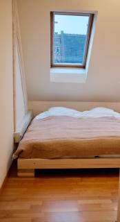 Pflanzschul Apartment 61 - 3