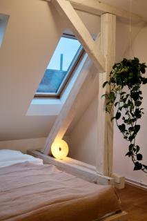 Pflanzschul Apartment 61 - 2