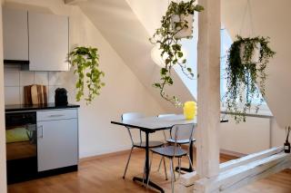 Pflanzschul Apartment 61 - 8