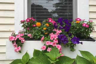 Kennebunk Cottage with Yard Less Than 1 Mi to Beach! - 8